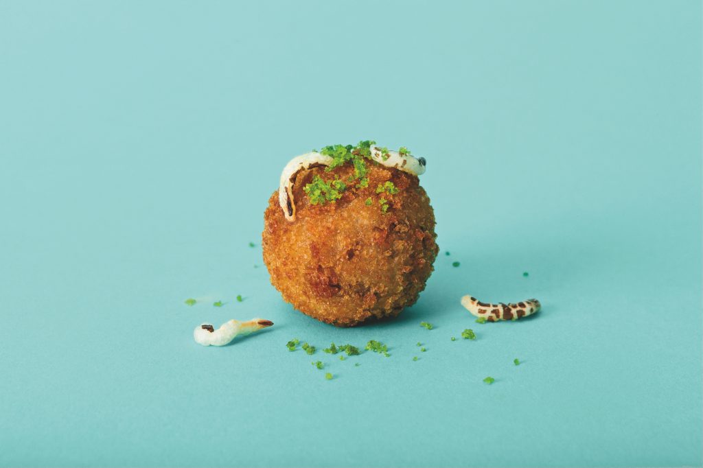 Tomorrow's Meatball — The crispy bug ball